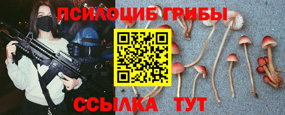 Псилоцибиновые грибы Psilocybine cubensis Выкса