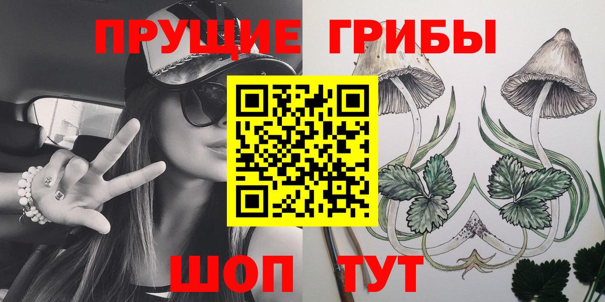 Выкса  Псилоцибиновые грибы Cubensis  Вход с VPN 